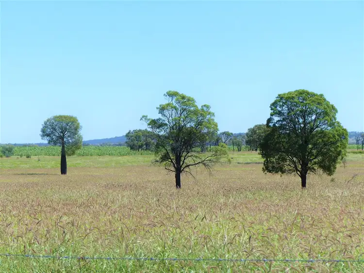 500 Well Gully Road "Well Gully", Mitchell QLD 4465