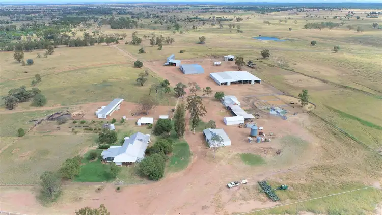Fifth view of Homely rural property listing, 500 Well Gully Road "Well Gully", Mitchell QLD 4465