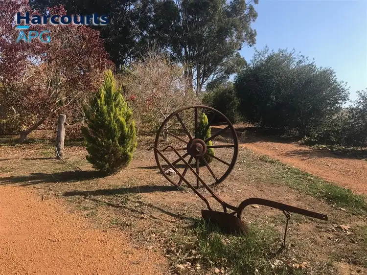 Main view of Homely house listing, 5 Williams Street, Boyup Brook WA 6244