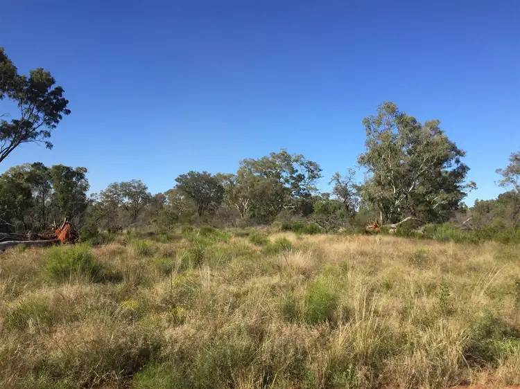 Second view of Homely rural property listing, Pt Koorilgur Cooneybar Rd, Coolabah NSW 2831
