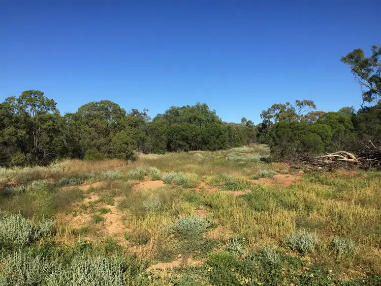 Third view of Homely rural property listing, Pt Koorilgur Cooneybar Rd, Coolabah NSW 2831