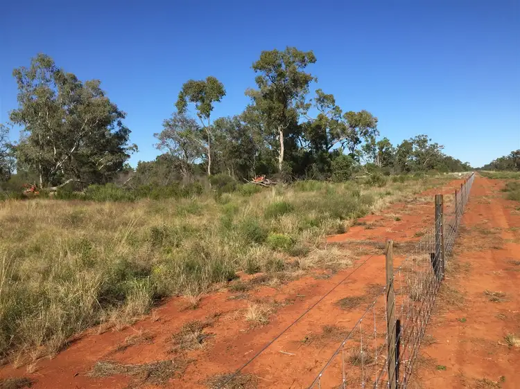 Fifth view of Homely rural property listing, Pt Koorilgur Cooneybar Rd, Coolabah NSW 2831