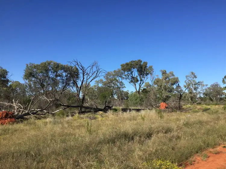 Sixth view of Homely rural property listing, Pt Koorilgur Cooneybar Rd, Coolabah NSW 2831