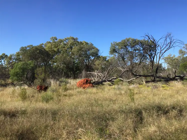 Seventh view of Homely rural property listing, Pt Koorilgur Cooneybar Rd, Coolabah NSW 2831