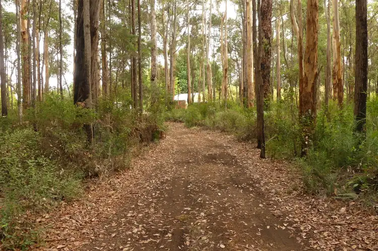 Main view of Homely rural property listing, 3164 Wheatley Coast Road (Crowea), Northcliffe WA 6262