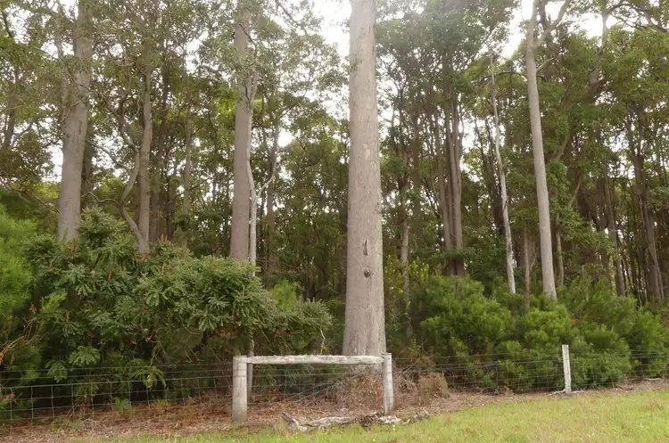 Sixth view of Homely rural property listing, 3164 Wheatley Coast Road (Crowea), Northcliffe WA 6262