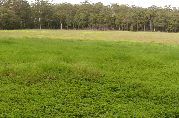 Seventh view of Homely rural property listing, 3164 Wheatley Coast Road (Crowea), Northcliffe WA 6262