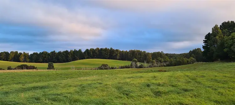 Main view of Homely rural property listing, 1418 Upper Natone Road, Upper Natone TAS 7321