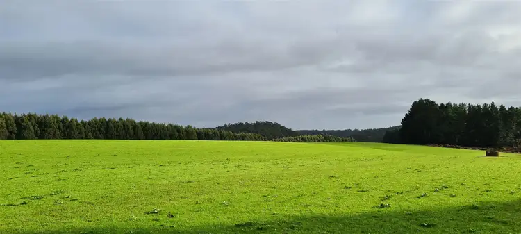 Fourth view of Homely rural property listing, 1418 Upper Natone Road, Upper Natone TAS 7321
