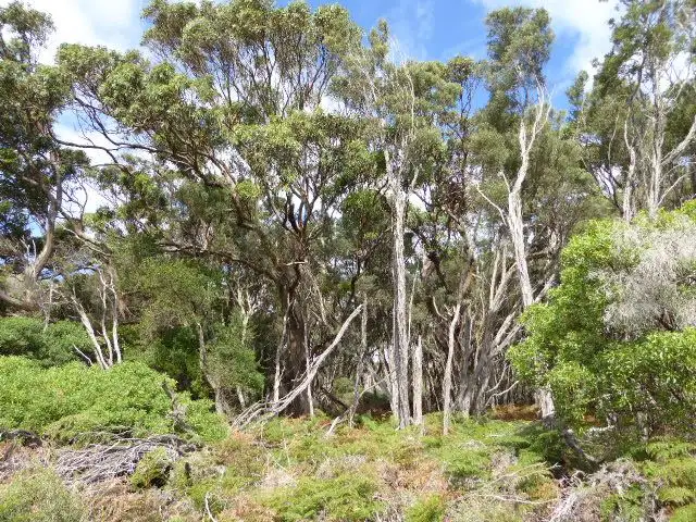 Third view of Homely rural property listing, Lot 2 North East River Road, Palana TAS 7255