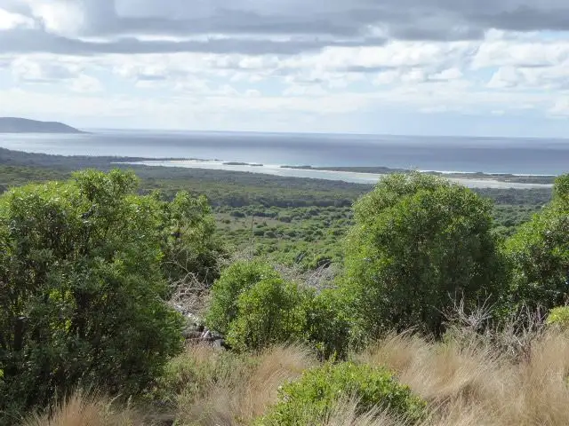 Fourth view of Homely rural property listing, Lot 2 North East River Road, Palana TAS 7255