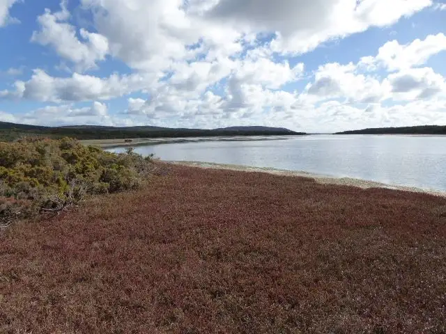 Seventh view of Homely rural property listing, Lot 2 North East River Road, Palana TAS 7255