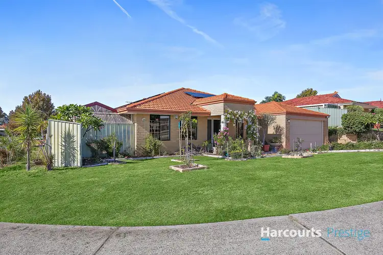 17 Buvelot Turn, Southern River WA 6110