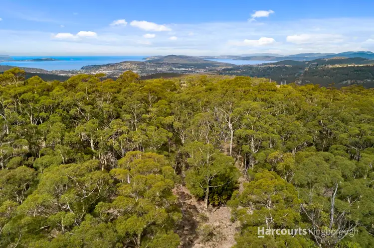 Main view of Homely rural property listing, 651 Summerleas Road, Fern Tree TAS 7054
