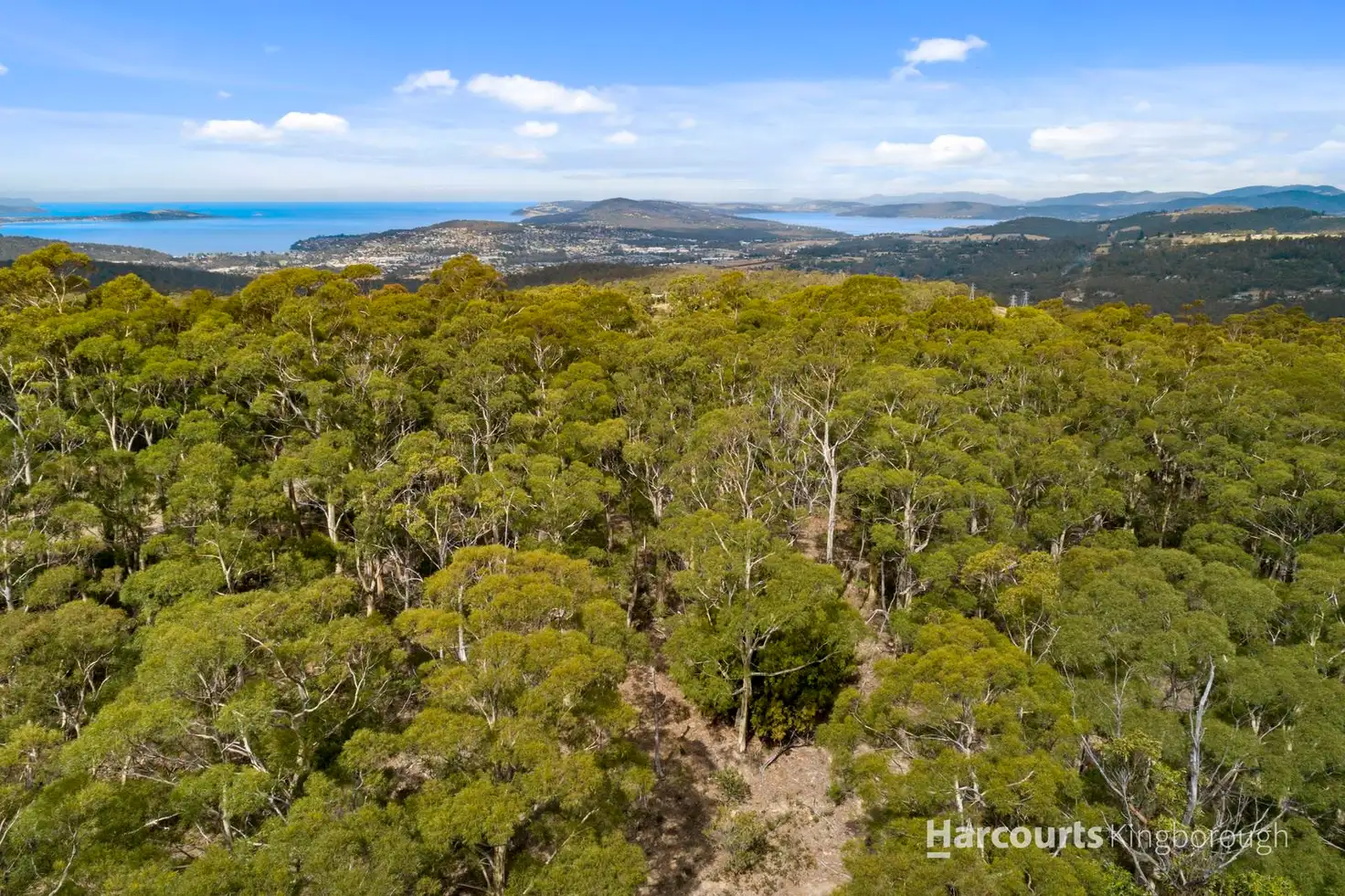 Main view of Homely rural property listing, 651 Summerleas Road, Fern Tree TAS 7054