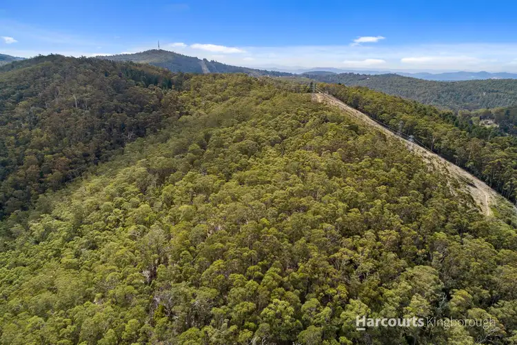 Fourth view of Homely rural property listing, 651 Summerleas Road, Fern Tree TAS 7054