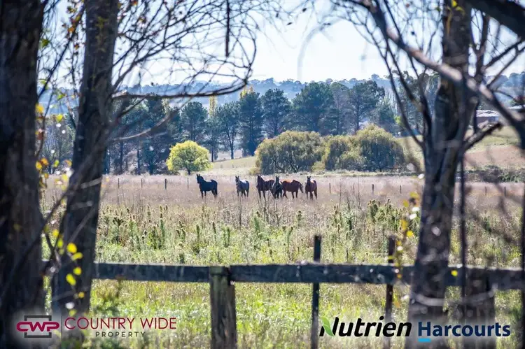 Sixth view of Homely rural property listing, Rosecroft/105 Cramsie Crescent, Glen Innes NSW 2370