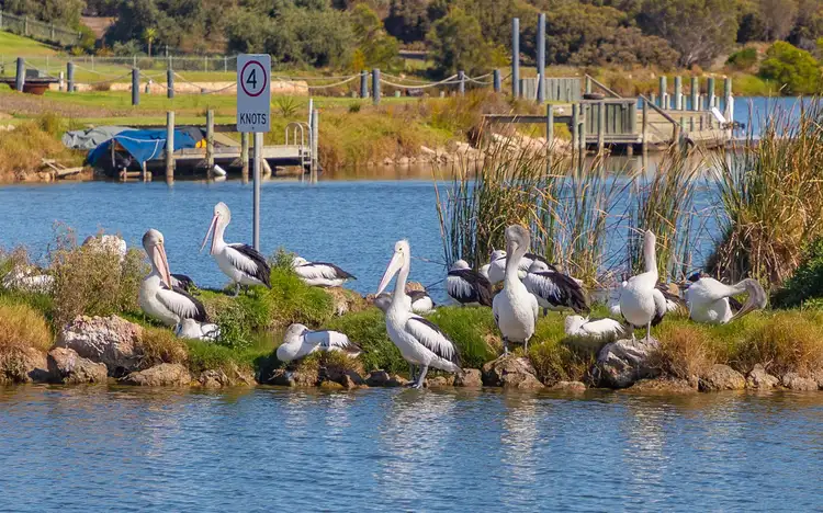 Third view of Homely house listing, 101 Wentworth Parade, Hindmarsh Island SA 5214