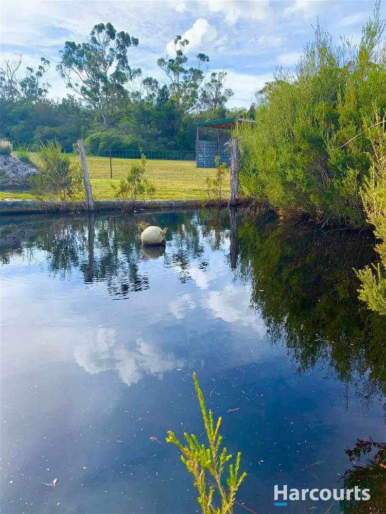Fifth view of Homely house listing, 113 Moulting Bay Beach Road, St Helens TAS 7216