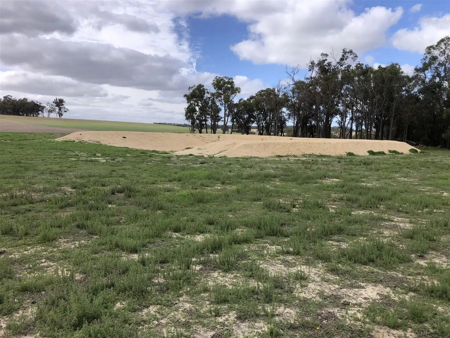Main view of Homely rural property listing, 457 Parsons Swamp Road, Mayanup WA 6244