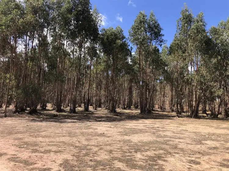 Fourth view of Homely rural property listing, 457 Parsons Swamp Road, Mayanup WA 6244