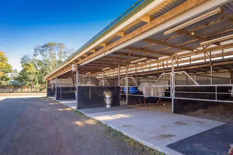Third view of Homely rural property listing, 113 Willis Road, Avenel VIC 3664