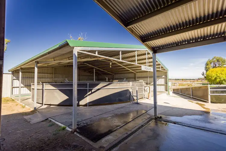 Sixth view of Homely rural property listing, 113 Willis Road, Avenel VIC 3664