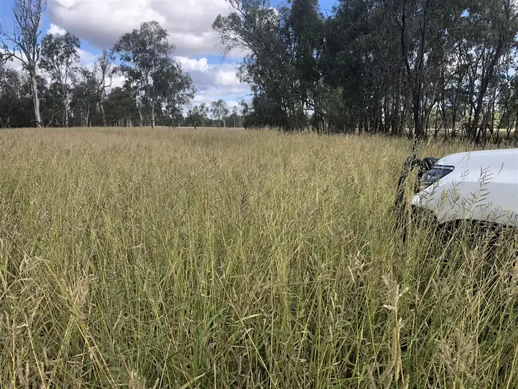 Fifth view of Homely rural property listing, Address available on request