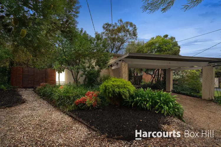 3 Leddy Street, Forest Hill VIC 3131