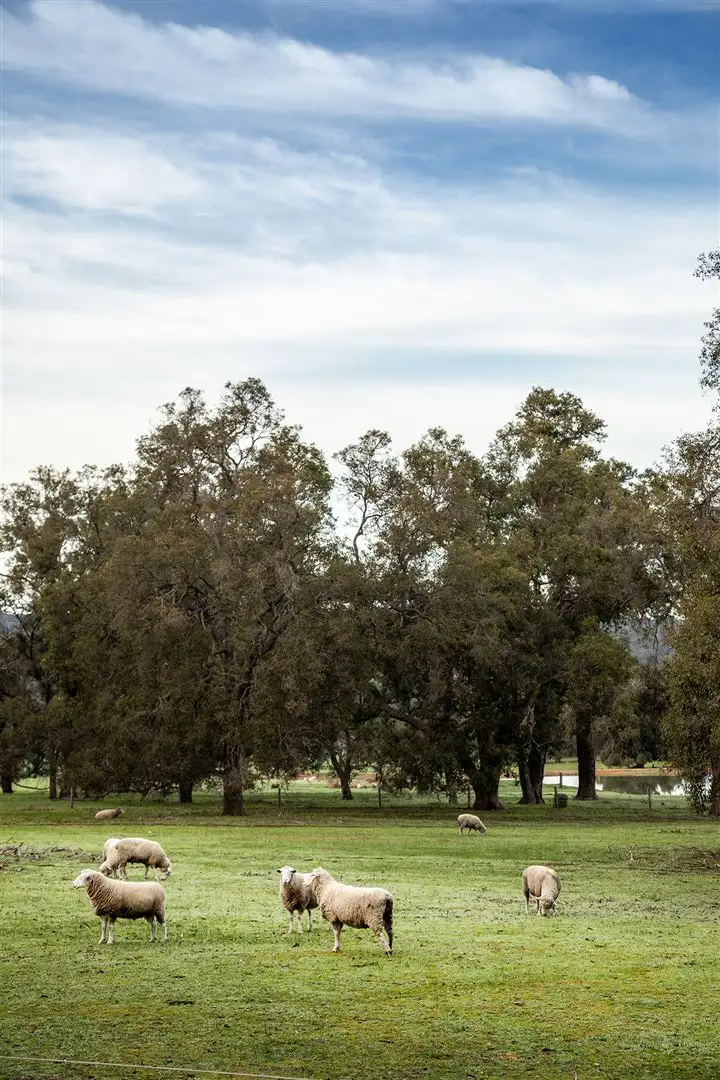 Fifth view of Homely land listing, Lot 719 Zebu Road, Lower Chittering WA 6084