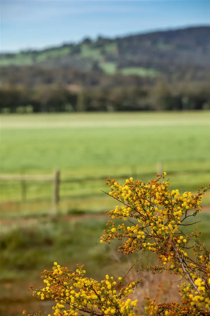 Sixth view of Homely land listing, Lot 719 Zebu Road, Lower Chittering WA 6084