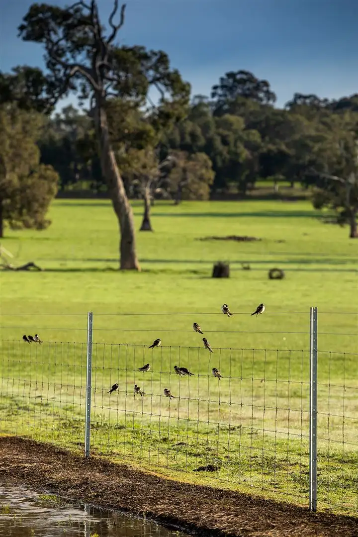 Seventh view of Homely land listing, Lot 719 Zebu Road, Lower Chittering WA 6084