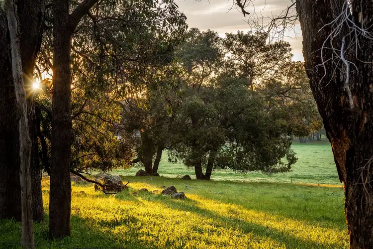 Second view of Homely land listing, Lot 722 Zebu Road, Lower Chittering WA 6084