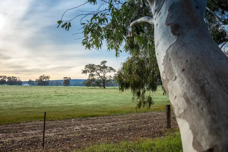 Fourth view of Homely land listing, Lot 722 Zebu Road, Lower Chittering WA 6084