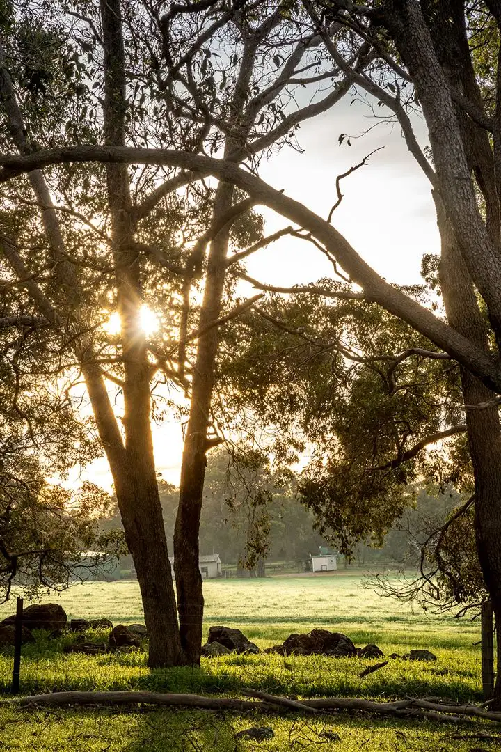 Fourth view of Homely land listing, Lot 715 Zebu Road, Lower Chittering WA 6084