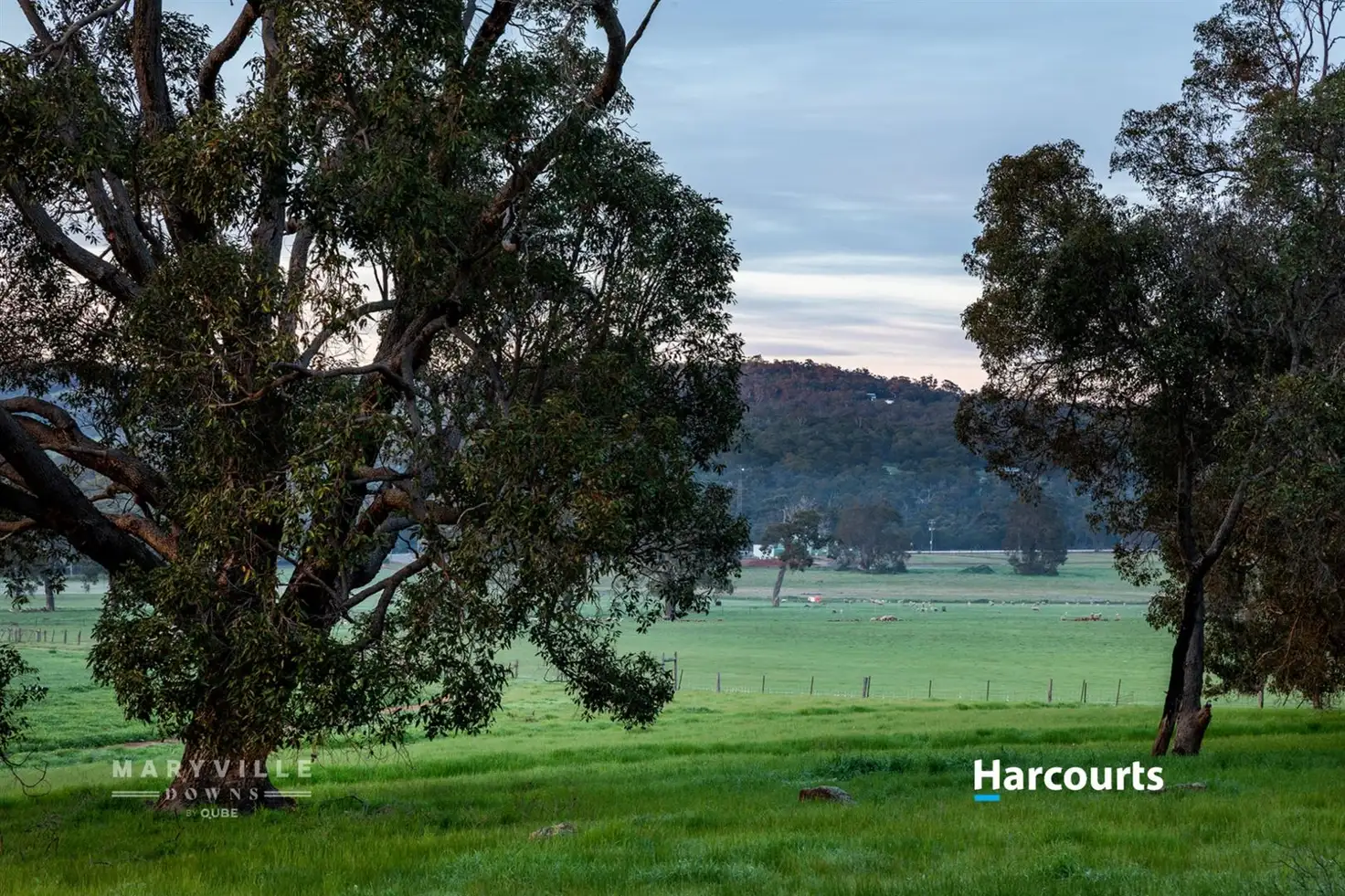 Main view of Homely land listing, Lot 725 Zebu Road, Lower Chittering WA 6084