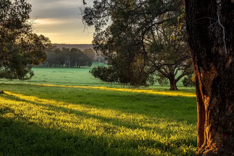 Second view of Homely land listing, Lot 725 Zebu Road, Lower Chittering WA 6084