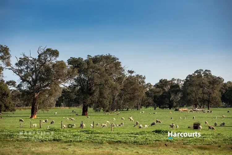 Lot 728 Jersey Road, Lower Chittering WA 6084