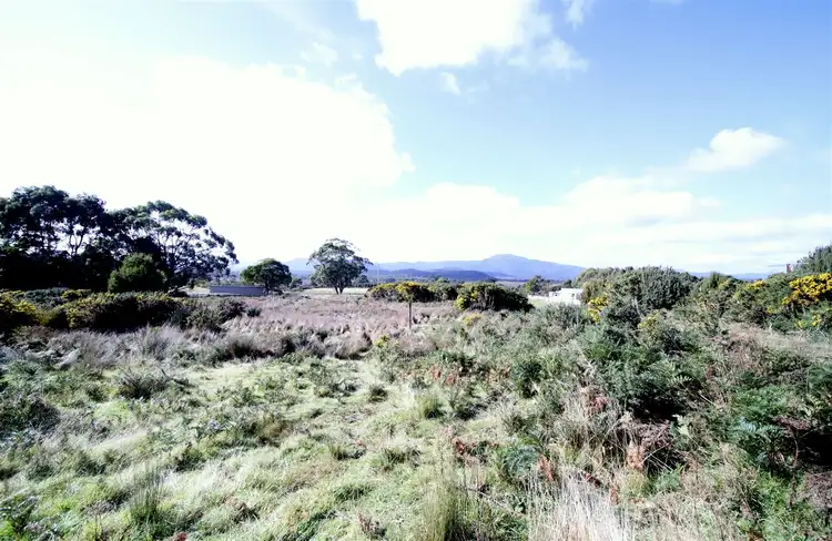 Lot 1 Buller St, Zeehan TAS 7469
