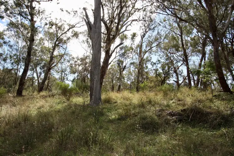Fifth view of Homely rural property listing, Lot 41 DP 755796 Rylstone St, Glen Alice, Rylstone NSW 2849