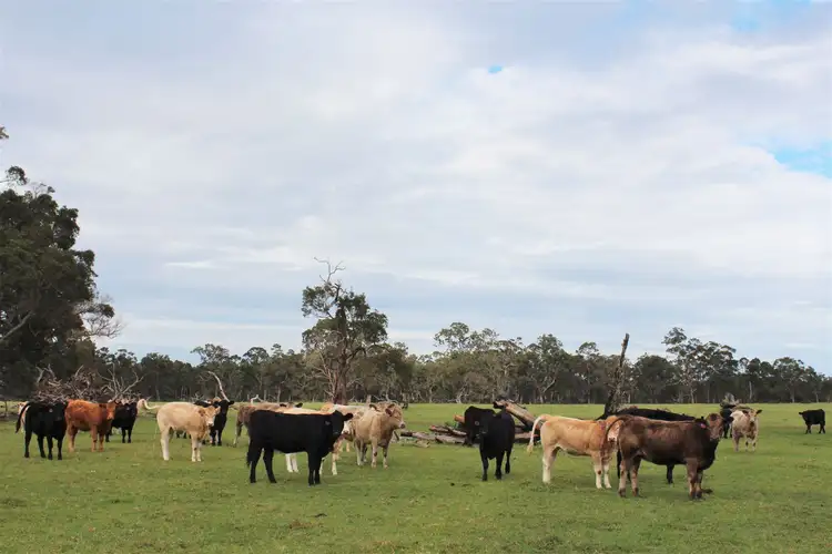 Fifth view of Homely rural property listing, 1141 Millinup Road, Porongurup WA 6324
