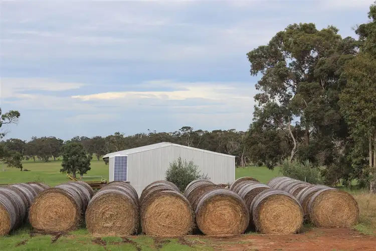 Sixth view of Homely rural property listing, 1141 Millinup Road, Porongurup WA 6324