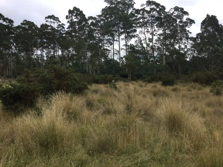 Sixth view of Homely land listing, 5 Kalangadoo Road, Lake Leake TAS 7210