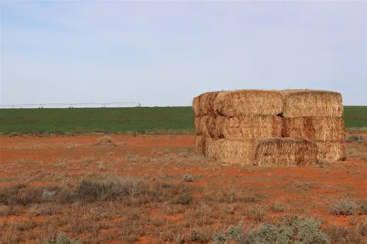 Fourth view of Homely rural property listing, 340 Wilcannia Road West, Menindee NSW 2879