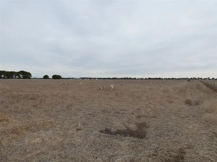 Fifth view of Homely rural property listing, . Tuckers Road, Jung VIC 3401