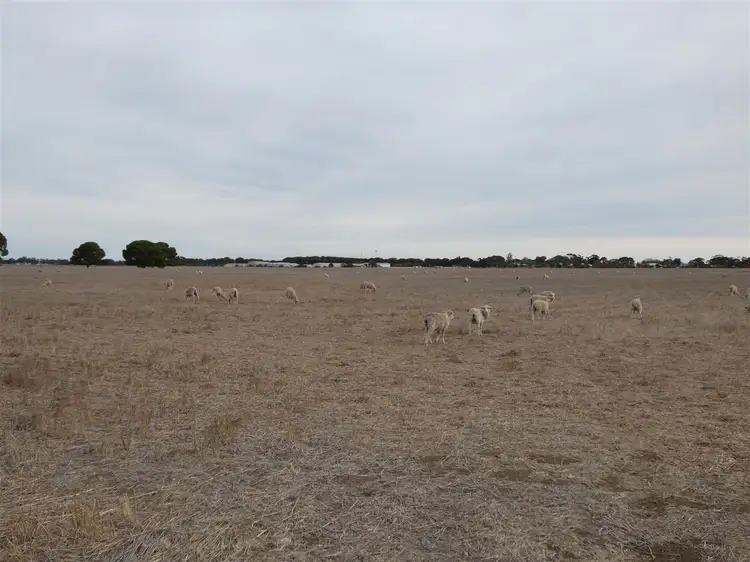 Sixth view of Homely rural property listing, . Tuckers Road, Jung VIC 3401