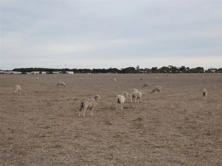 Seventh view of Homely rural property listing, . Tuckers Road, Jung VIC 3401