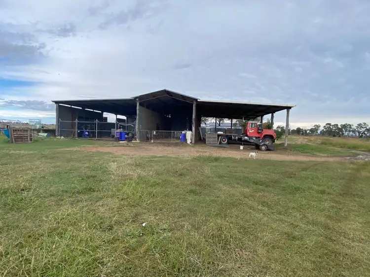 Third view of Homely rural property listing, 177 Wiedman Road, Clifton QLD 4361
