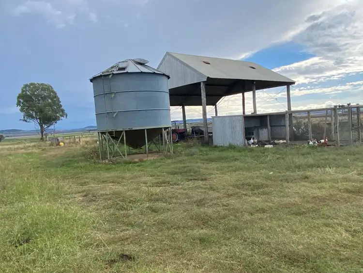 Sixth view of Homely rural property listing, 177 Wiedman Road, Clifton QLD 4361