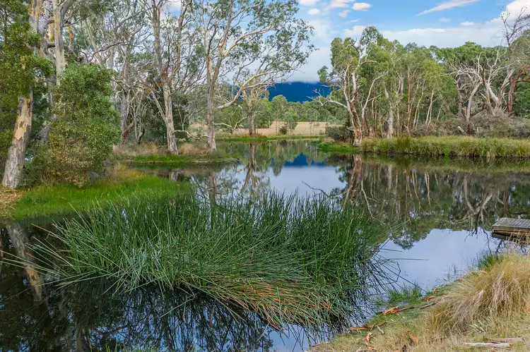 Third view of Homely rural property listing, 245 Wannon River Rd, Dunkeld VIC 3294